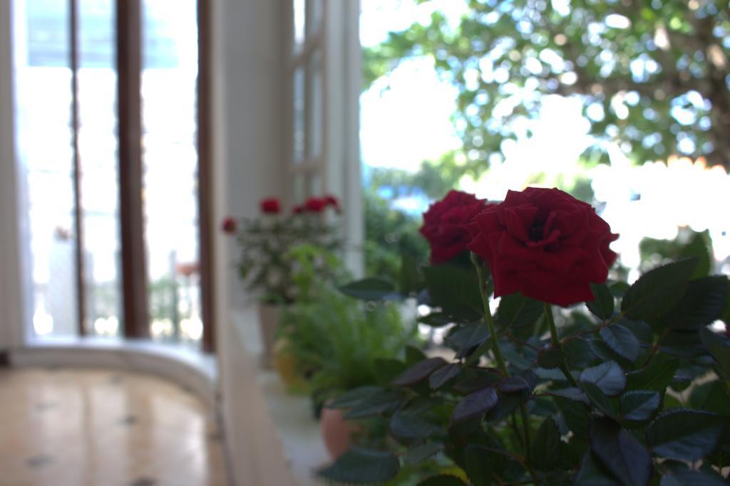 Des Ami Villa Вунг Тау Екстериор снимка