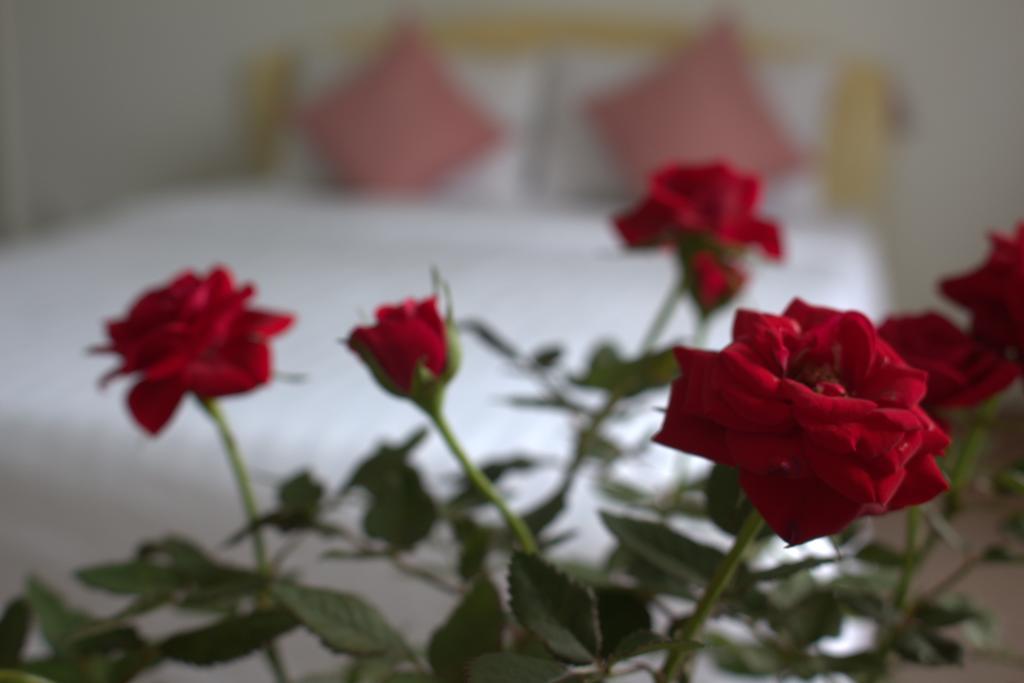 Des Ami Villa Вунг Тау Екстериор снимка