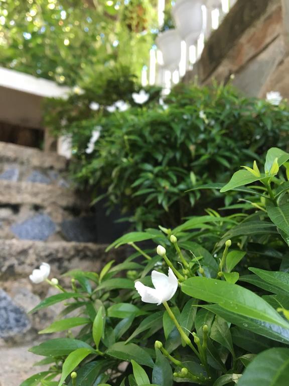 Des Ami Villa Вунг Тау Екстериор снимка